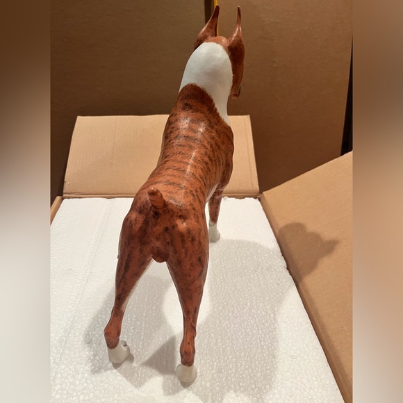 Never displayed, beautiful Boxer model. - Picture 5 of 9